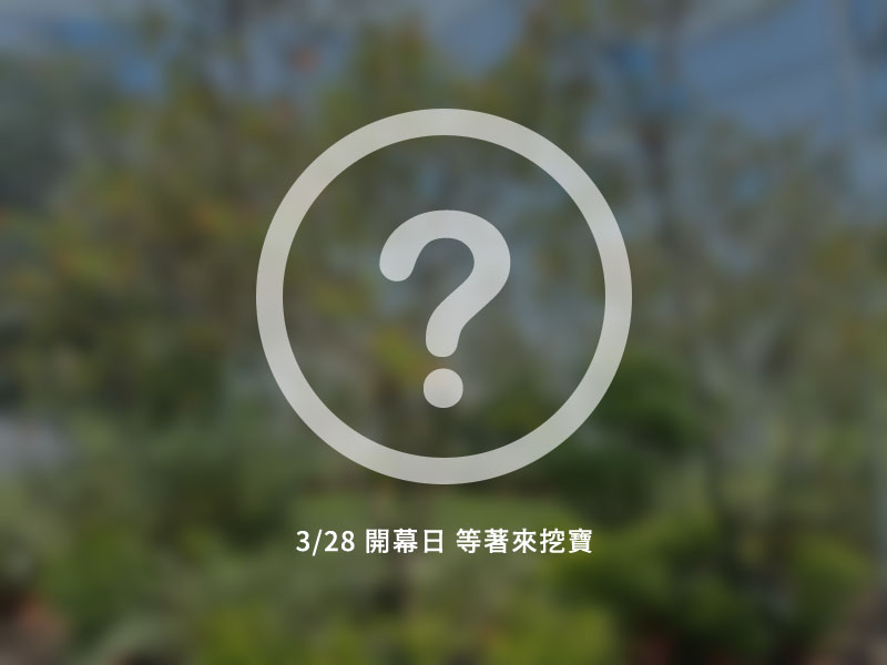 主題館 場館示意圖