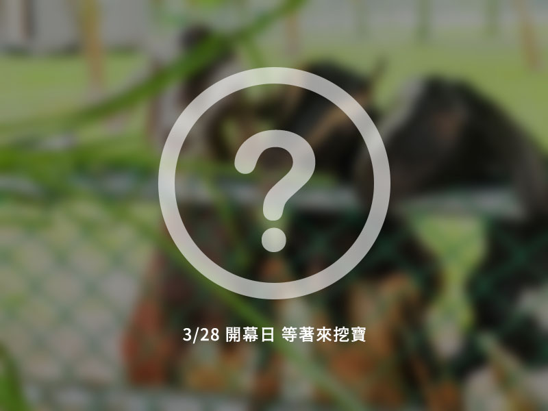 畜產館 形象佔圖