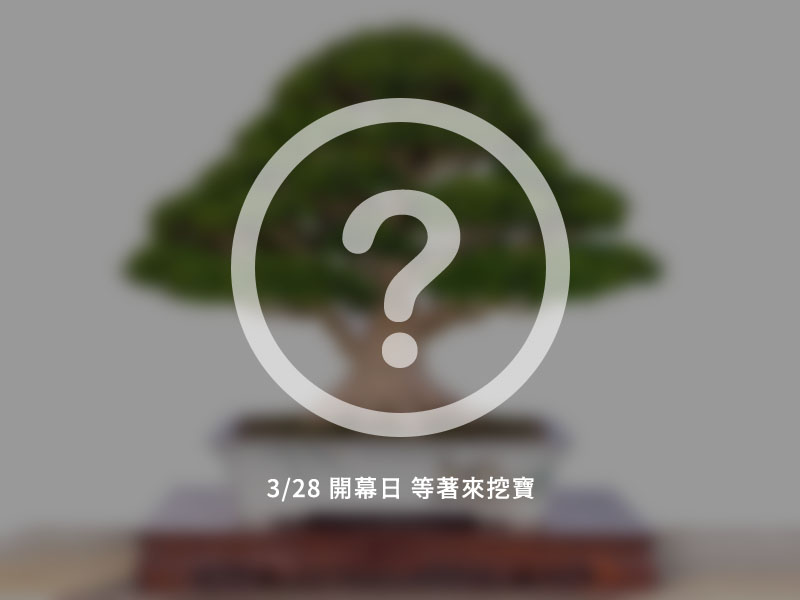 盆栽館 形象佔圖